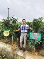 ����������쵽����ȥ�ˣ���ѧ��������������ֲ�����˽���