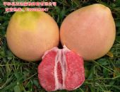 �������������������������ؾ����ַ|ƽ������������ǰ����