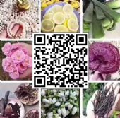 董欣代理需要交押金吗?有什么要求? 董欣代理需要交押金吗?有什么要求?