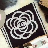 �ߵ�ChanelΧ����Լ����Ǯһ��,�ߵ�Χ��Ь������