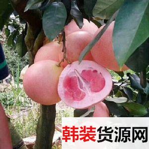 �����������ļҺ�����һ���������������ڵļ۸�
