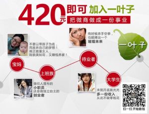一叶子面膜有哪些?效果怎么样? 一叶子面膜有哪些?效果怎么样?