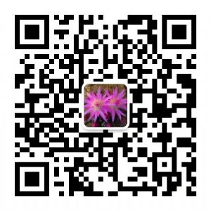你的护肤品里有纯露吗?现在流行芳疗法哦 你的护肤品里有纯露吗?现在流行芳疗法哦
