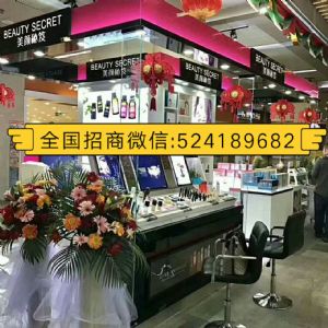开美颜秘笈实体店,需要什么级别,有实体店授权牌吗 开美颜秘笈实体店,需要什么级别,有实体店授权牌吗