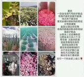 董欣高级代理怎么做?董欣代理拿货几折?怎么加入董欣代理? 董欣高级代理怎么做?董欣代理拿货几折?怎么加入董欣代理?