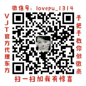VJT������ô�𣬵���׬Ǯô����ô����