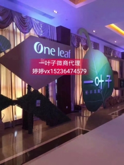 一叶子微商怎么招募代理商 一叶子货源在哪儿找 一叶子微商怎么招募代理商 一叶子货源在哪儿找