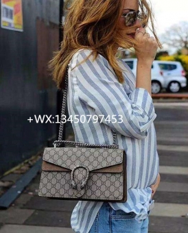 Gucci经典高档入门款包包 Gucci经典高档入门款包包