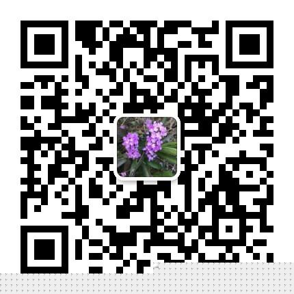 莆田童鞋厂家微信谁有,大概多少价格质量如何 莆田童鞋厂家微信谁有,大概多少价格质量如何