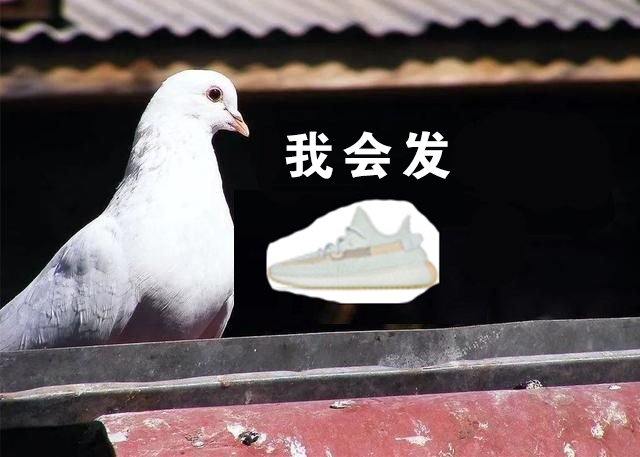 莆田椰子鞋最高版本多少钱,YEEZY限定起飞 莆田椰子鞋最高版本多少钱,YEEZY限定起飞
