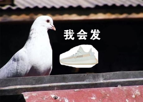莆田椰子鞋最高版本多少钱,YEEZY限定起飞 莆田椰子鞋最高版本多少钱,YEEZY限定起飞