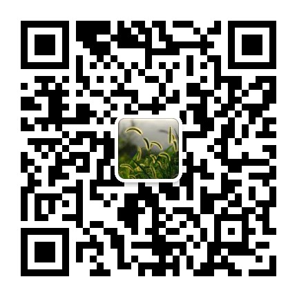 某个角落的美好,教你寻找奢侈品包包一手货源 某个角落的美好,教你寻找奢侈品包包一手货源