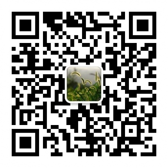 某个角落的美好,教你寻找奢侈品包包一手货源 某个角落的美好,教你寻找奢侈品包包一手货源