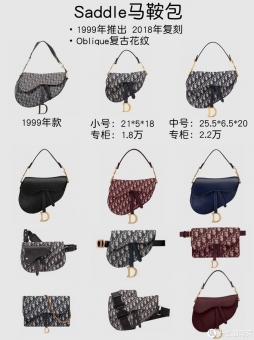 独爱DIOR迪奥天鹅绒系列马鞍包,细细纹路越看越喜欢 独爱DIOR迪奥天鹅绒系列马鞍包,细细纹路越看越喜欢