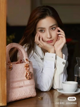DIOR����������ɫ������˧������ʵ��TOTE���ع����