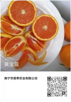 桂都荟微商水果代理一手货源水果免费代理一件代发 桂都荟微商水果代理一手货源水果免费代理一件代发